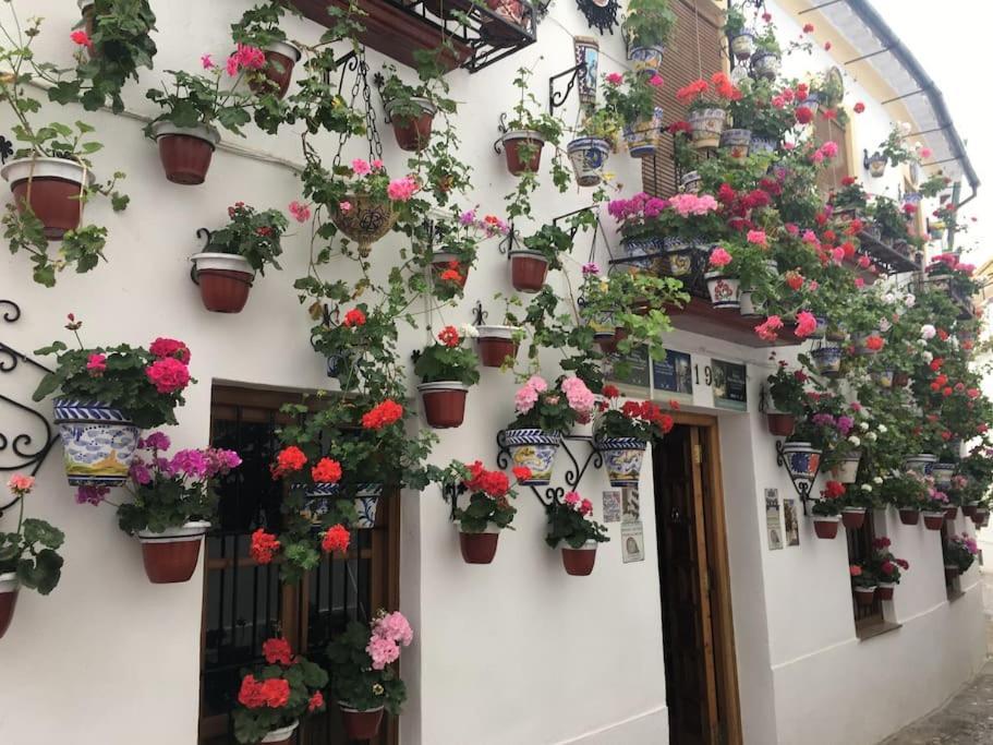 Apartamento El Templo Cordoba Exterior photo